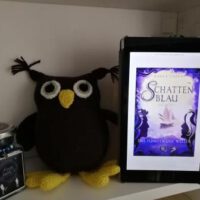 Kindle mit Buchcover und Eule im bücherregal