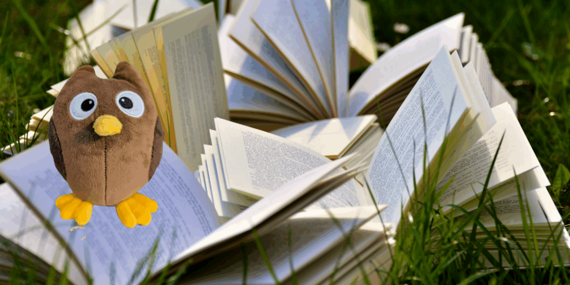 Skoutzi im Bücherkoma Ein Stapel Bücher auf einer Wiese. eine Eule als Plüschtier. Die Eule heißt Skoutzi.