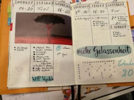 Weekly 3