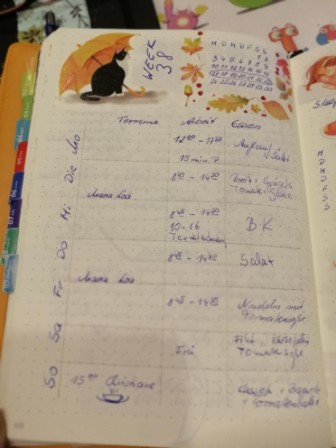 Weekly 4